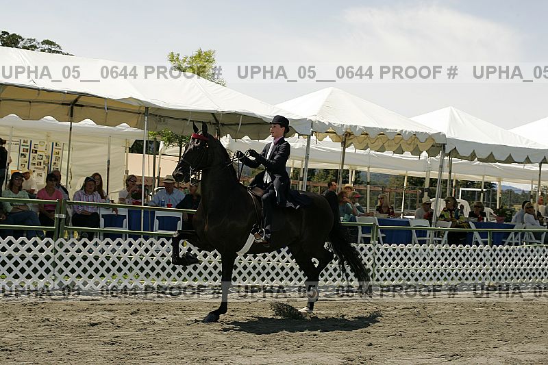 Proof Number upha_05__0644