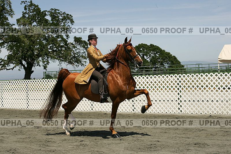 Proof Number upha_05__0650