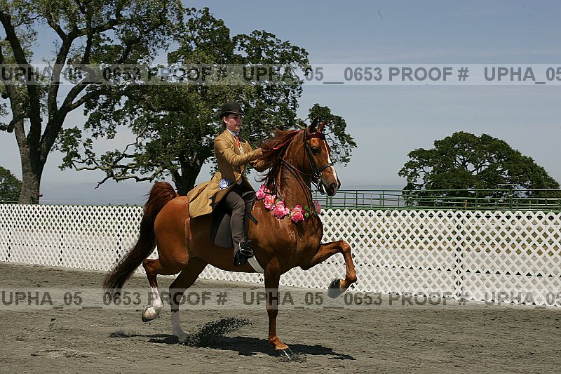 Proof Number upha_05__0653