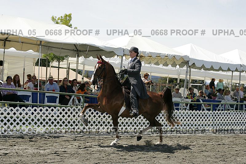 Proof Number upha_05__0668