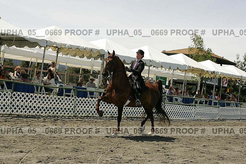 Proof Number upha_05__0669