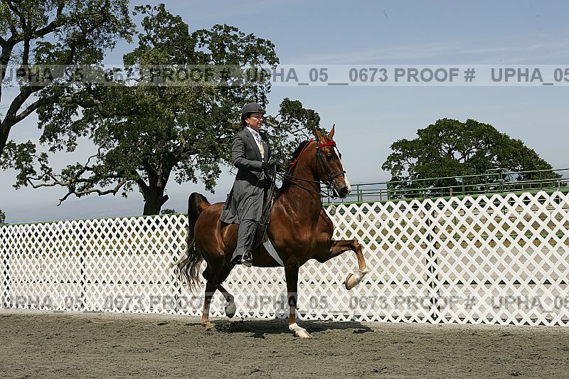 Proof Number upha_05__0673