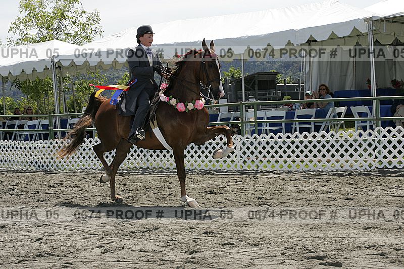 Proof Number upha_05__0674