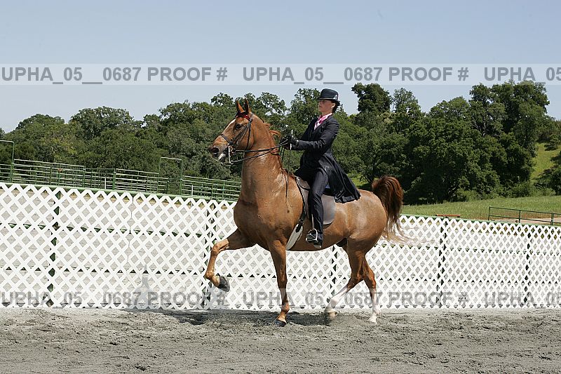 Proof Number upha_05__0687