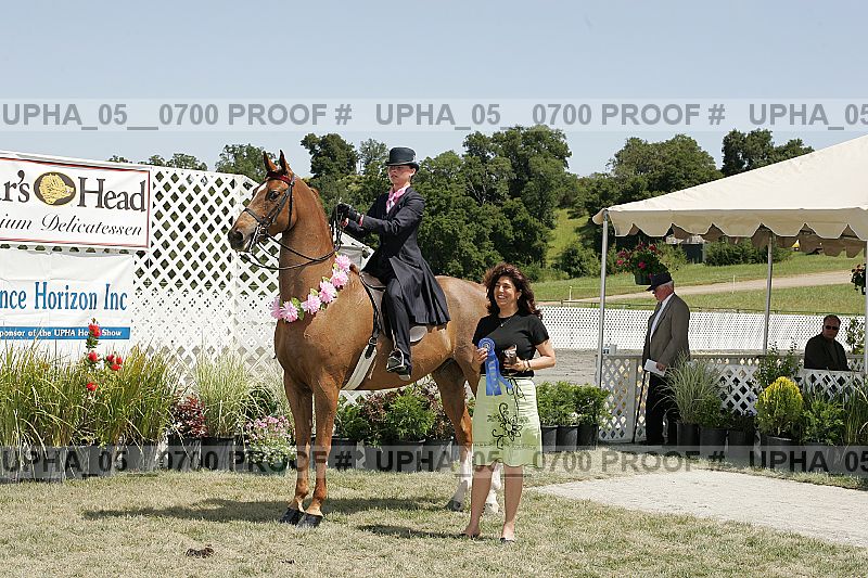 Proof Number upha_05__0700