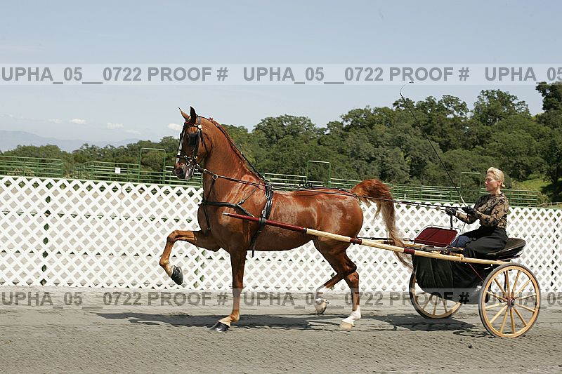 Proof Number upha_05__0722