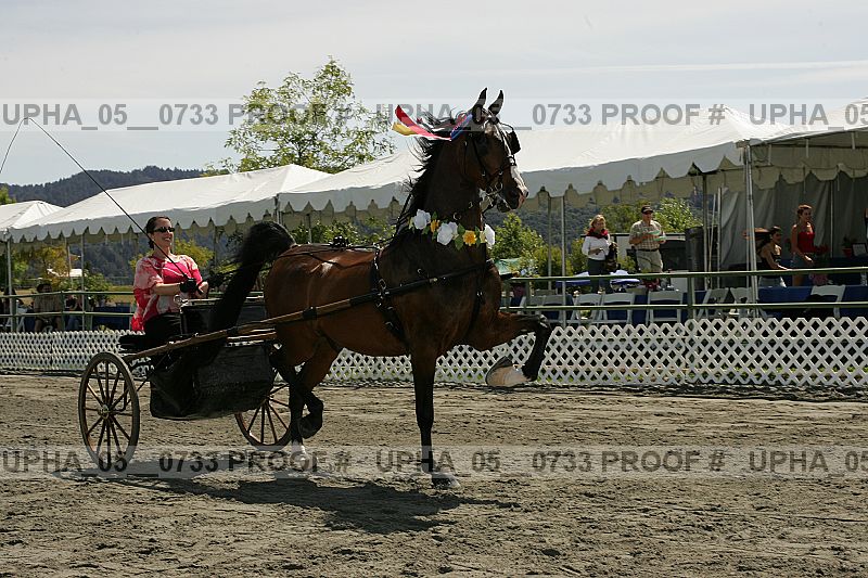 Proof Number upha_05__0733