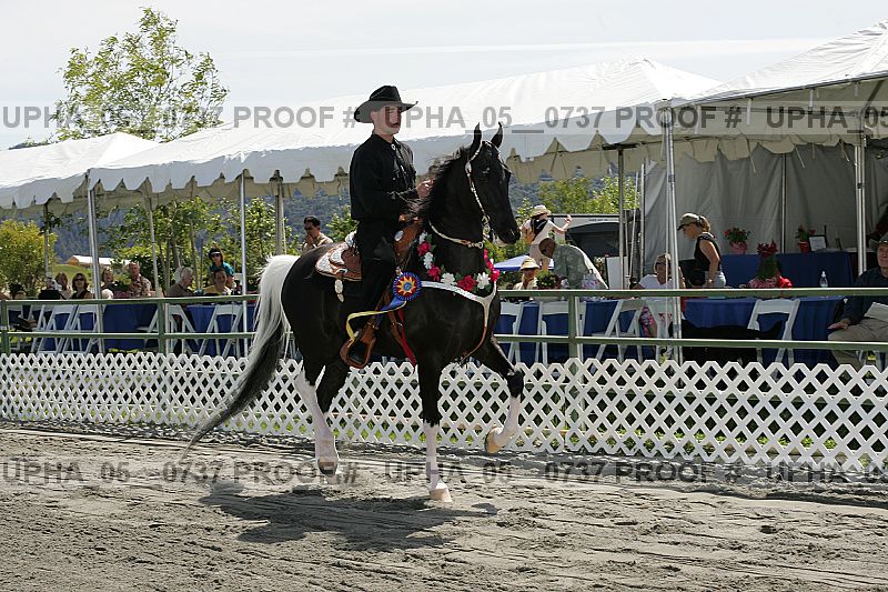 Proof Number upha_05__0737