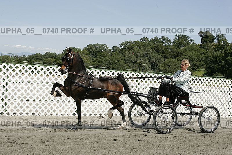 Proof Number upha_05__0740