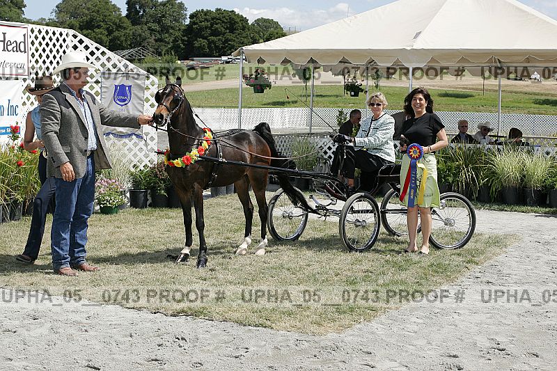 Proof Number upha_05__0743