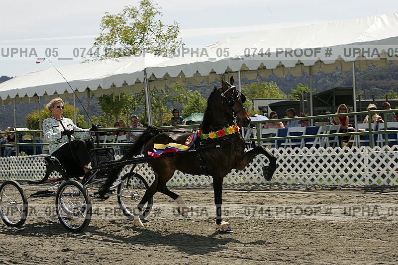 Proof Number upha_05__0744