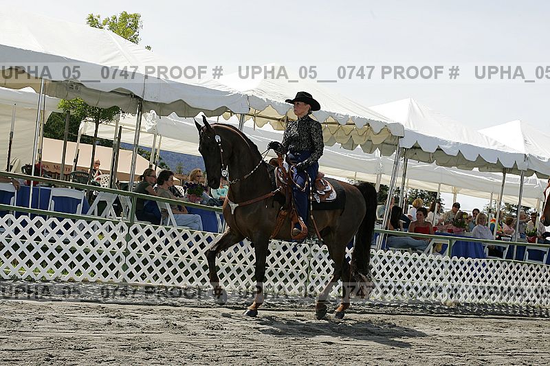Proof Number upha_05__0747