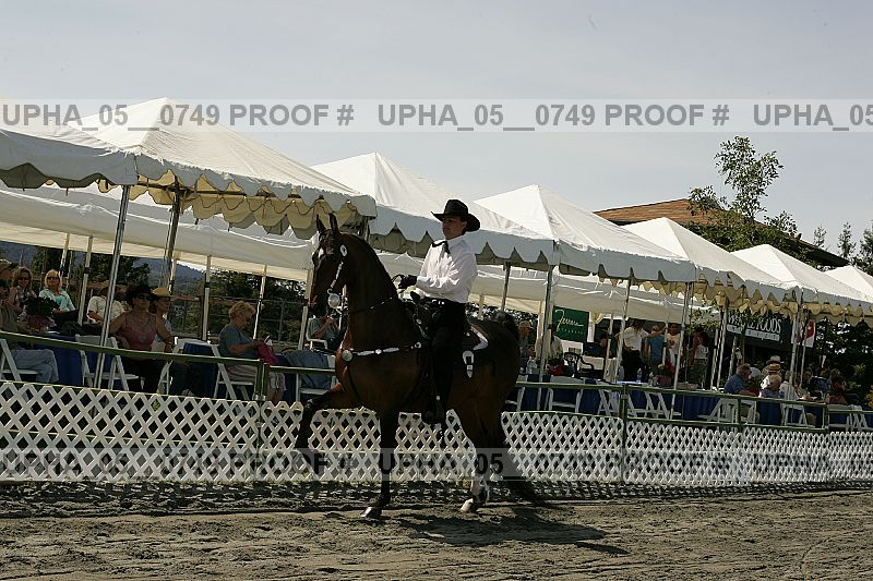 Proof Number upha_05__0749