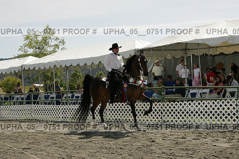 Proof Number upha_05__0751