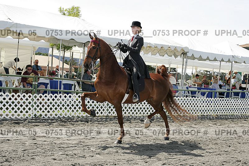 Proof Number upha_05__0753