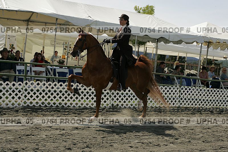 Proof Number upha_05__0754