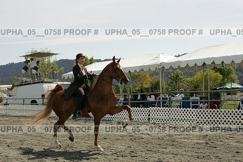Proof Number upha_05__0758