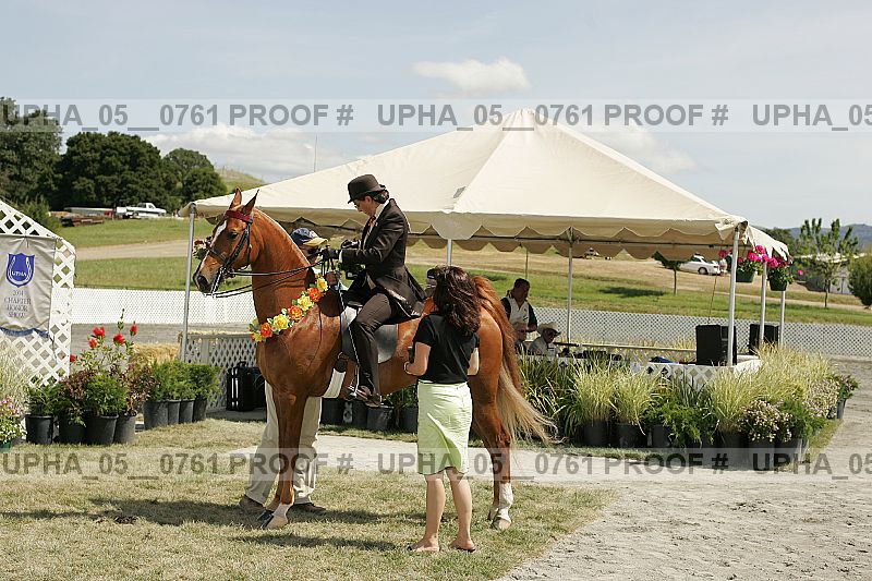 Proof Number upha_05__0761