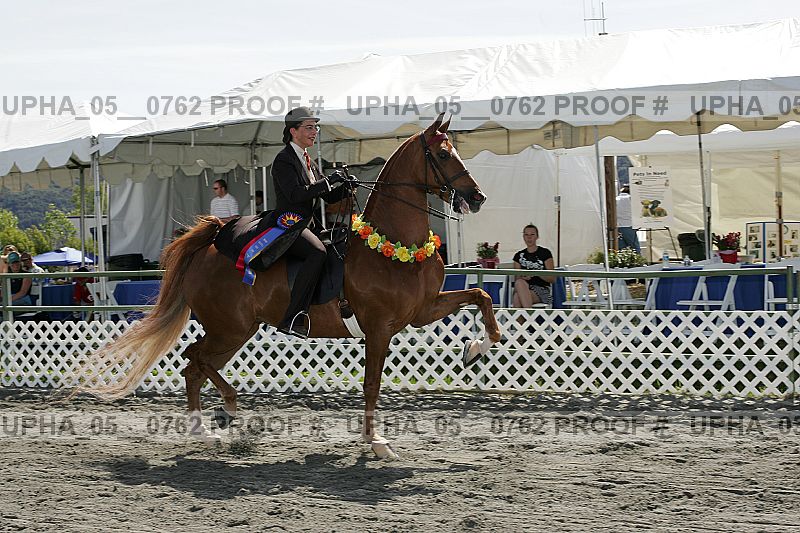Proof Number upha_05__0762