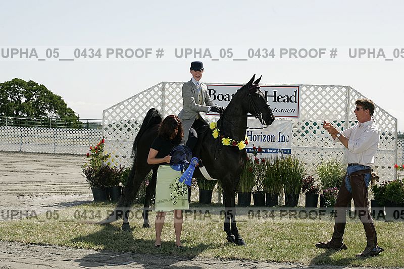 Proof Number upha_05__0434