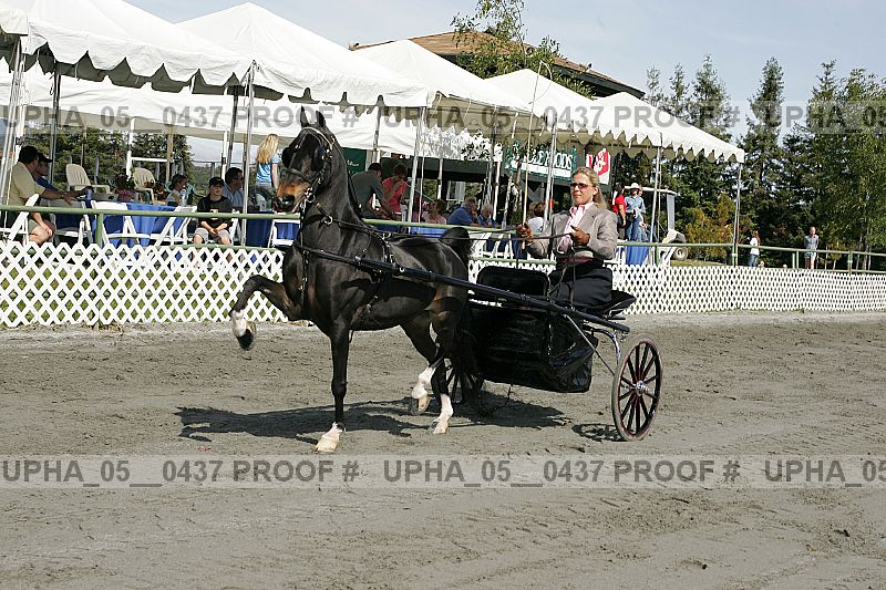 Proof Number upha_05__0437