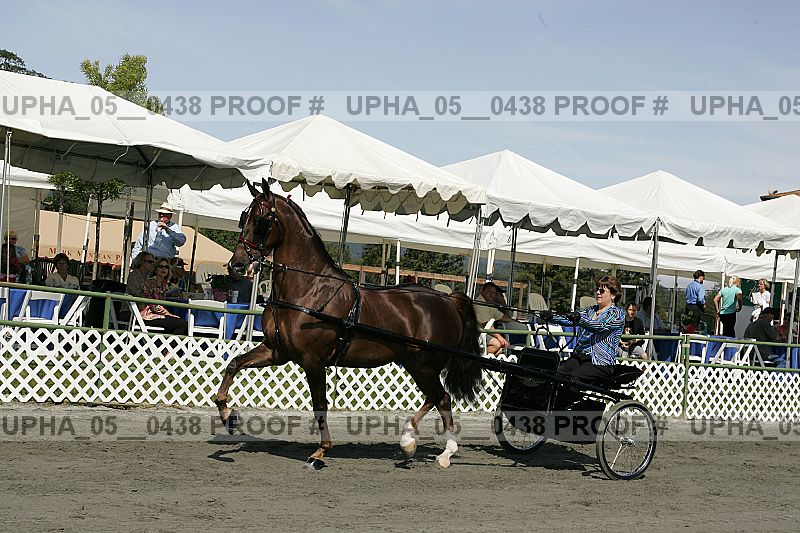 Proof Number upha_05__0438