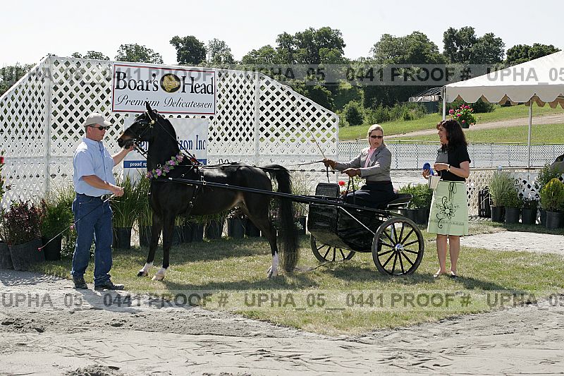 Proof Number upha_05__0441