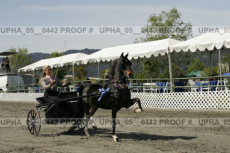 Proof Number upha_05__0442