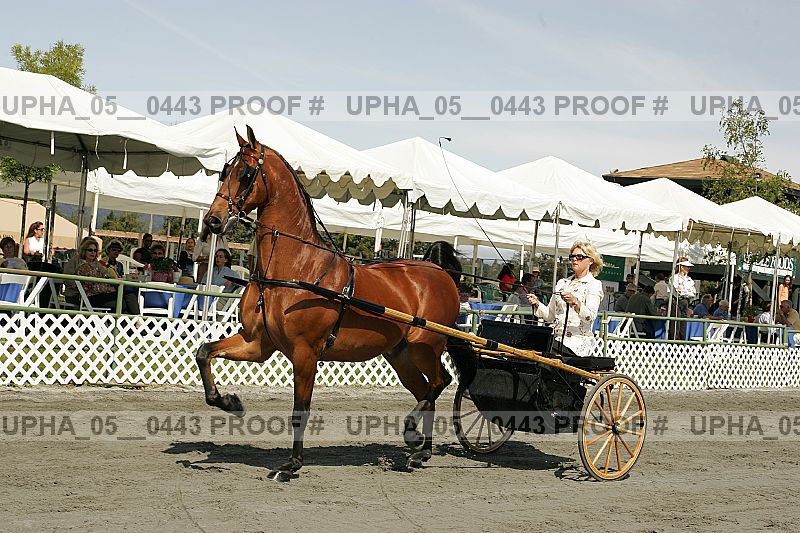 Proof Number upha_05__0443