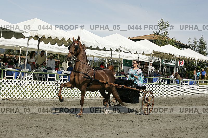 Proof Number upha_05__0444