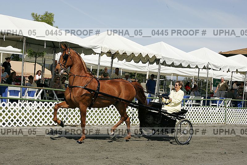 Proof Number upha_05__0445