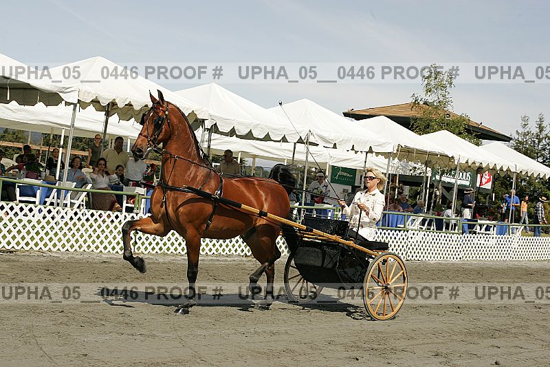 Proof Number upha_05__0446