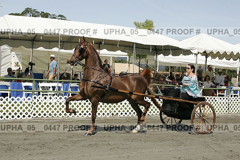 Proof Number upha_05__0447