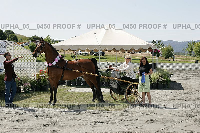 Proof Number upha_05__0450