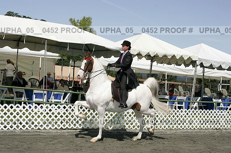 Proof Number upha_05__0452