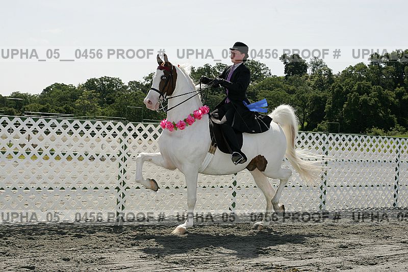 Proof Number upha_05__0456