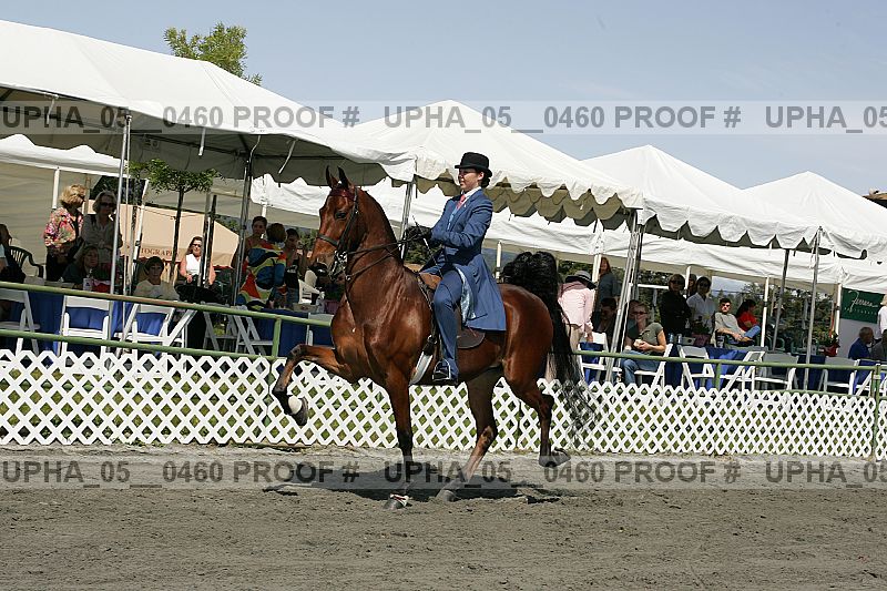 Proof Number upha_05__0460