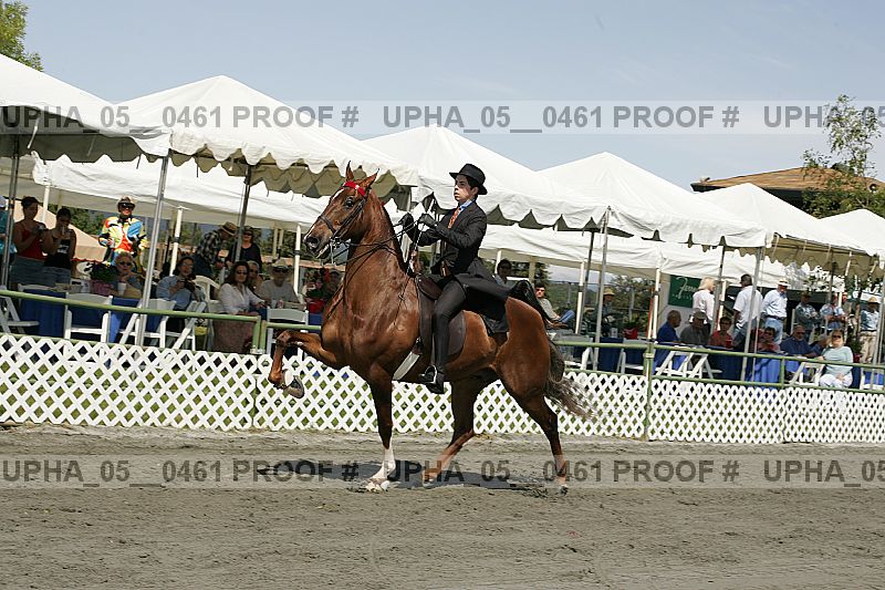 Proof Number upha_05__0461