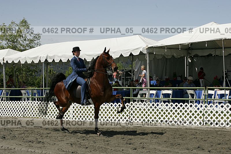Proof Number upha_05__0462