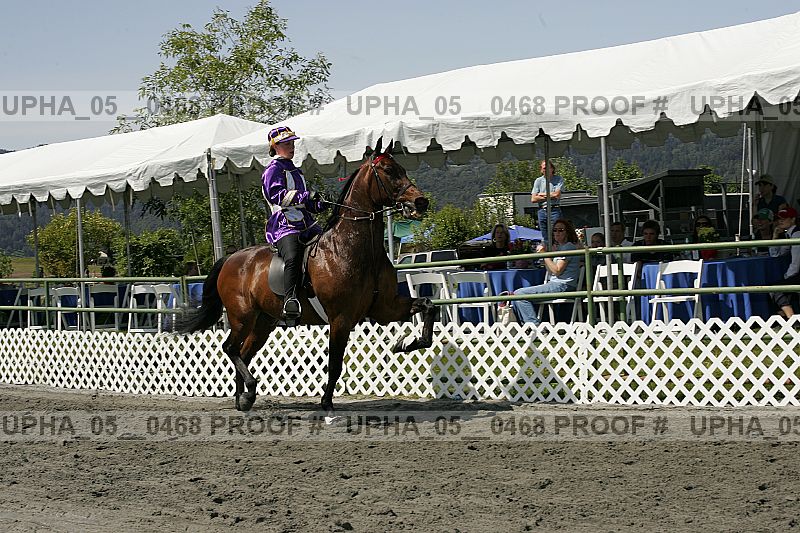 Proof Number upha_05__0468