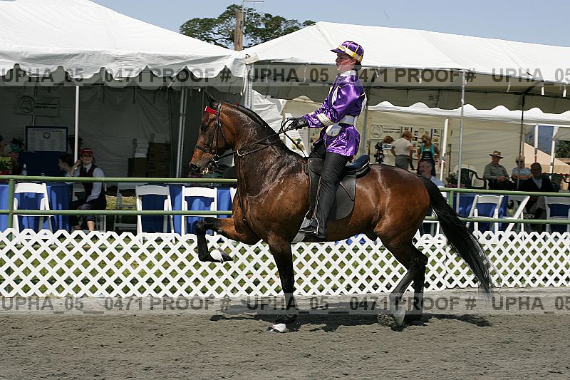 Proof Number upha_05__0471