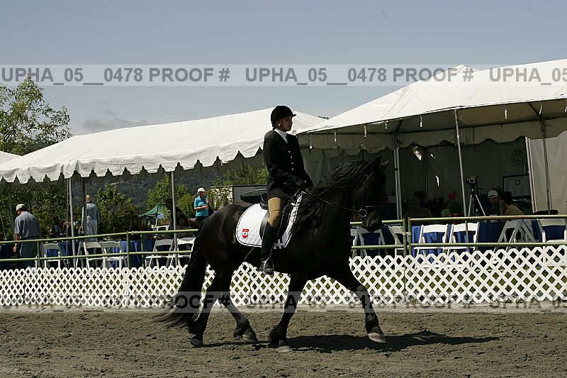Proof Number upha_05__0478