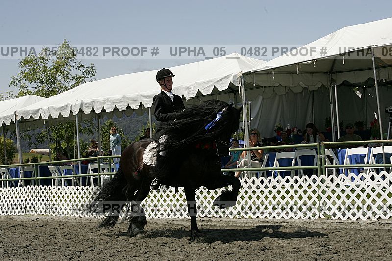 Proof Number upha_05__0482