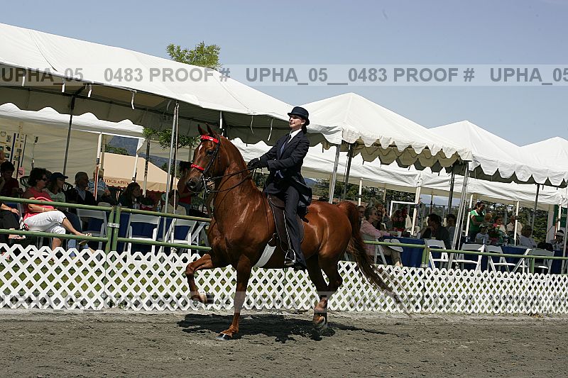 Proof Number upha_05__0483