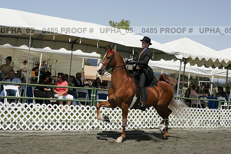 Proof Number upha_05__0485