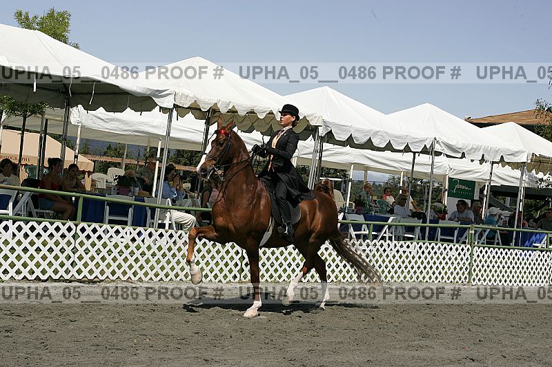 Proof Number upha_05__0486