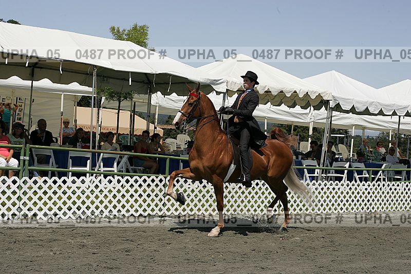 Proof Number upha_05__0487