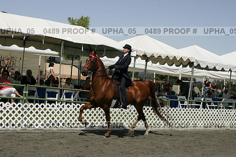 Proof Number upha_05__0489