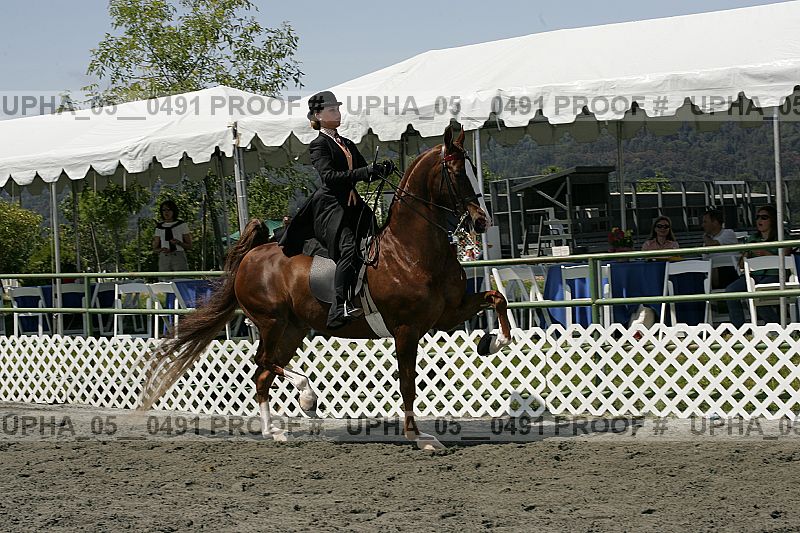 Proof Number upha_05__0491