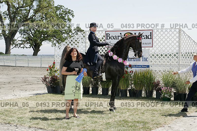 Proof Number upha_05__0493